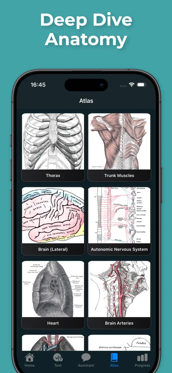 Anatomy & Physiology Learning App Store screenshot 3