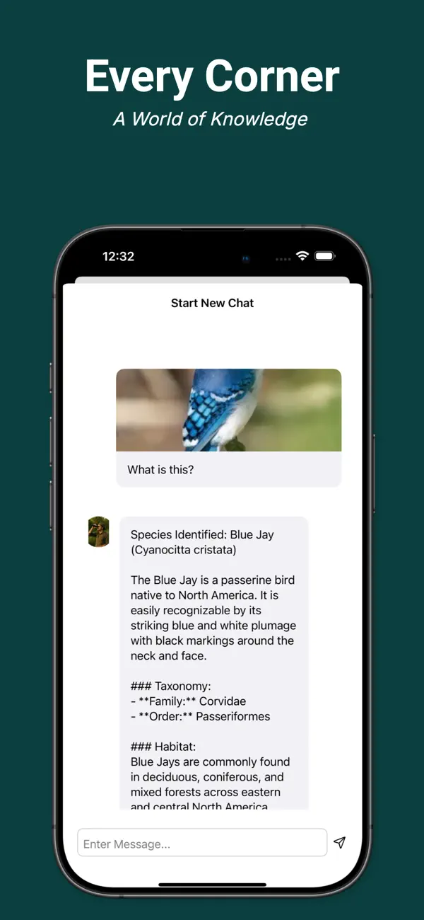 Bird Identifier AI Birdpicx App Store screenshot 5