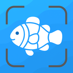 Fish Identifier
